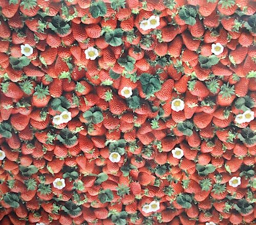 oilcloth starwberry